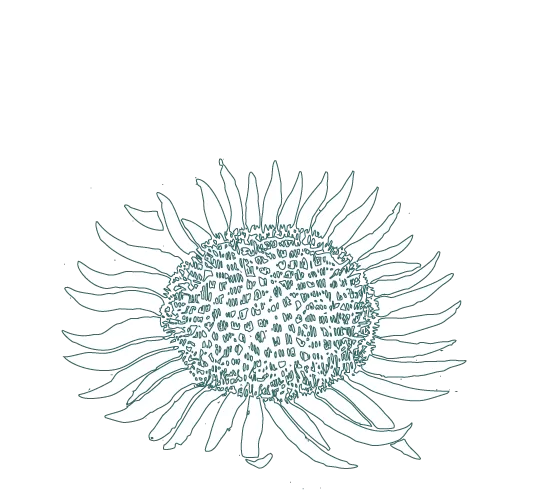 Logo_Silberdistel