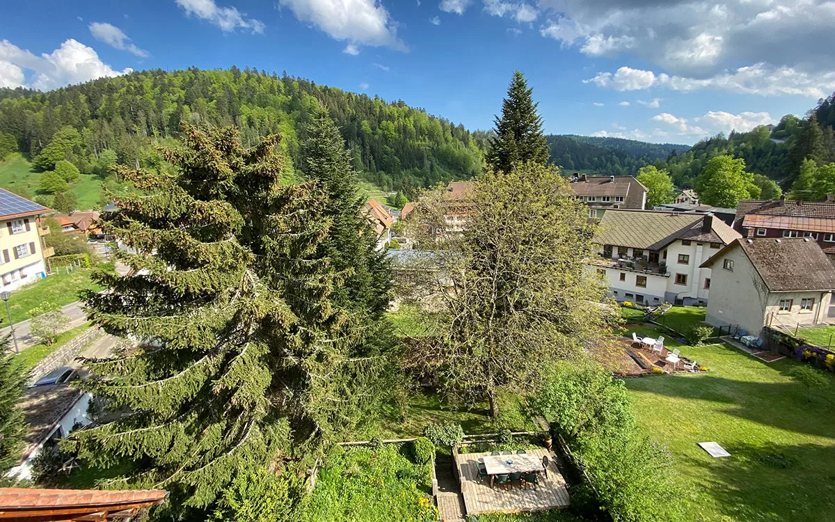 Ausblick über den Südschwarzwald