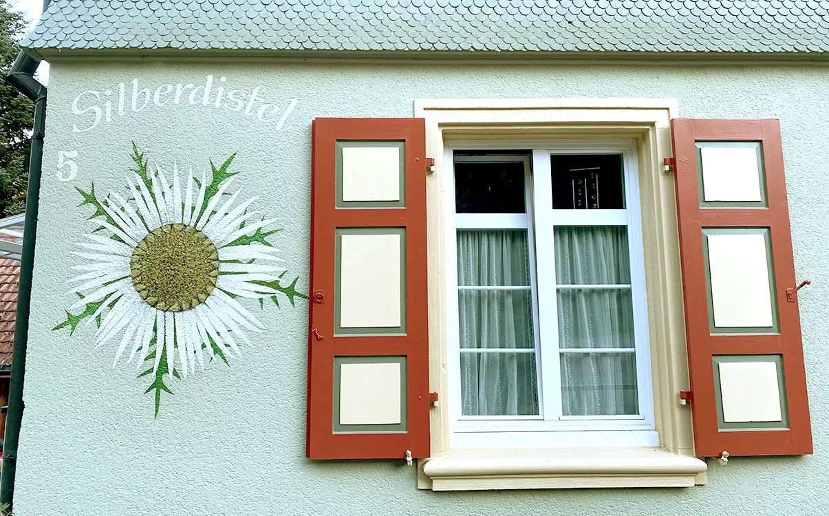 Fenster / Fassade Silberdistel