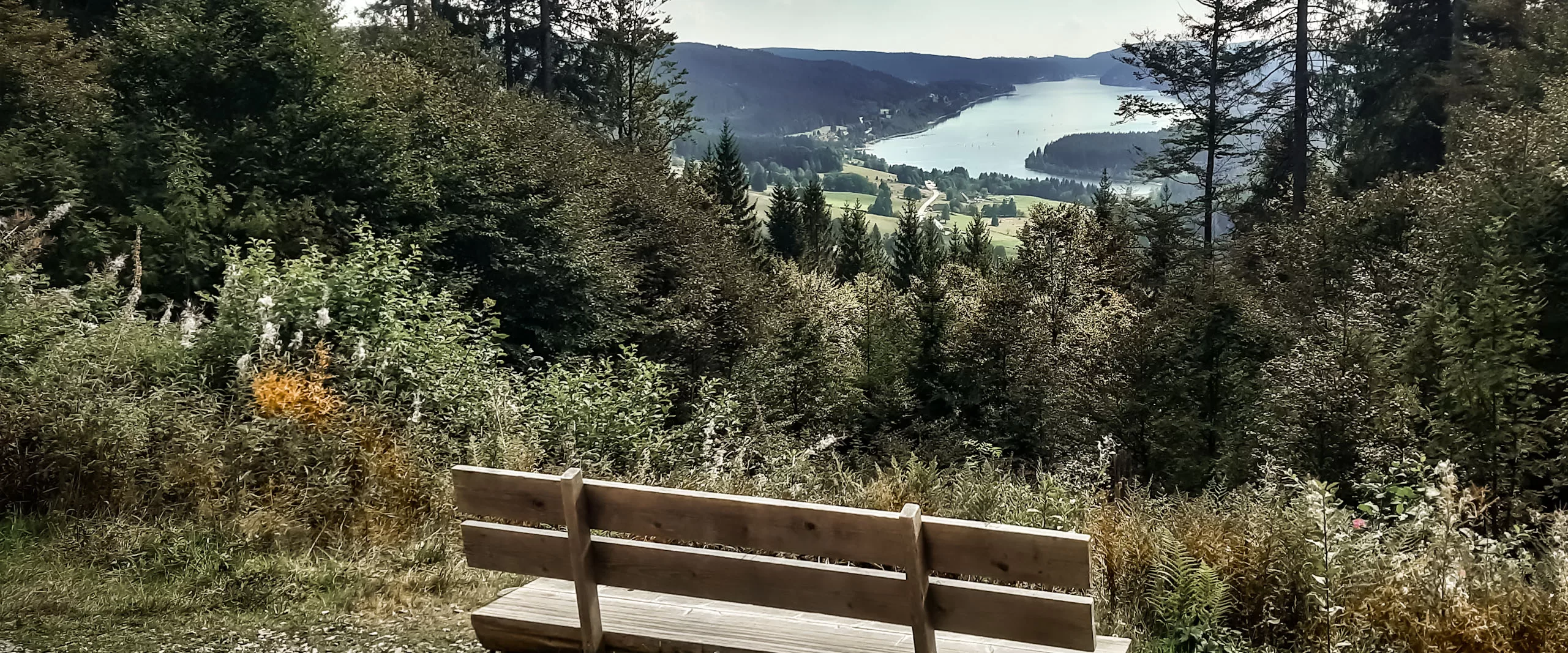 Südschwarzwald-Wandern
